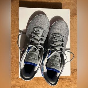 Men’s Baaketball shoes, zoom Lebron Nxxt Gen, wolf gray/pink spell, size 14.